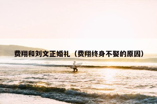 费翔和刘文正婚礼（费翔终身不娶的原因） 第1张