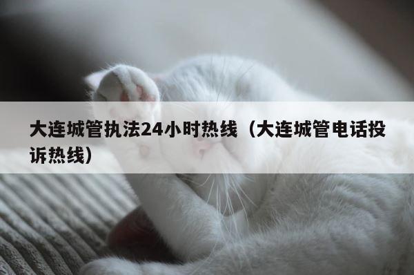 大连城管执法24小时热线（大连城管电话投诉热线） 第1张