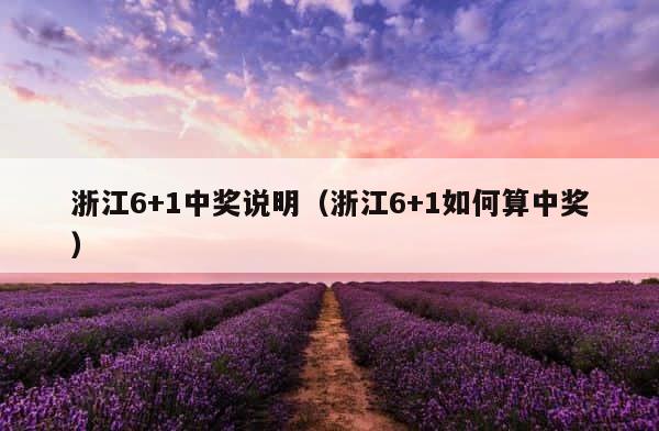 浙江6+1中奖说明（浙江6+1如何算中奖） 第1张