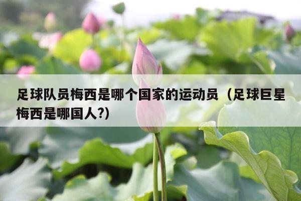 足球队员梅西是哪个国家的运动员（足球巨星梅西是哪国人?） 第1张