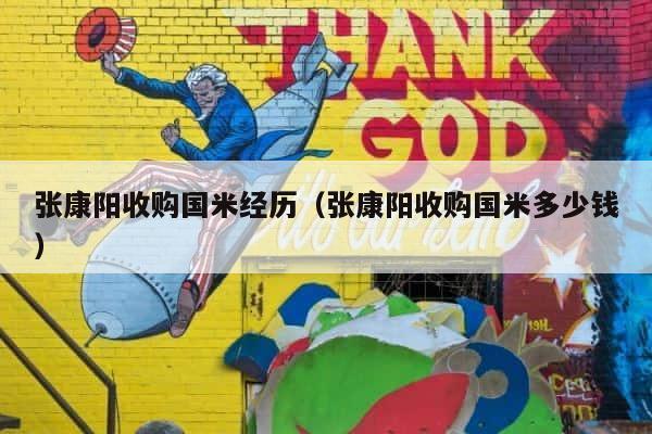 张康阳收购国米经历（张康阳收购国米多少钱） 第1张