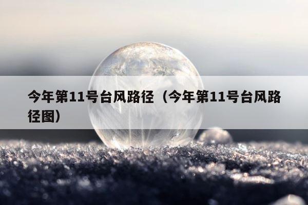 今年第11号台风路径（今年第11号台风路径图） 第1张