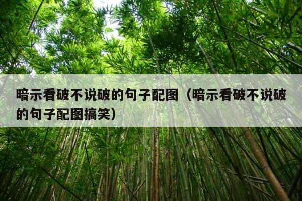 暗示看破不说破的句子配图（暗示看破不说破的句子配图搞笑） 第1张