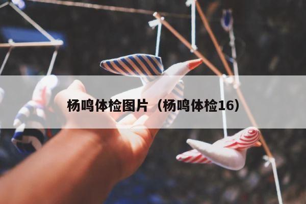 杨鸣体检图片（杨鸣体检16） 第1张