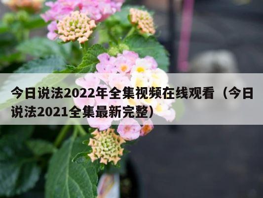 今日说法2022年全集视频在线观看（今日说法2021全集最新完整） 第1张