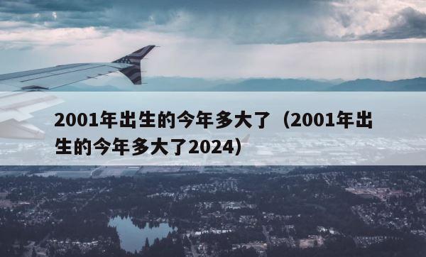 2001年出生的今年多大了（2001年出生的今年多大了2024） 第1张