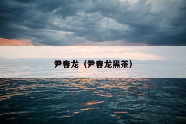 尹春龙（尹春龙黑茶） 第1张