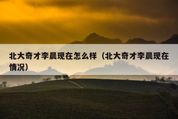 北大奇才李晨现在怎么样（北大奇才李晨现在情况） 第1张