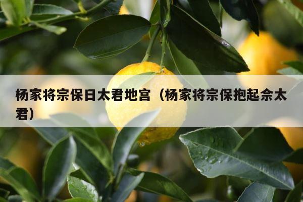 杨家将宗保日太君地宫（杨家将宗保抱起佘太君） 第1张