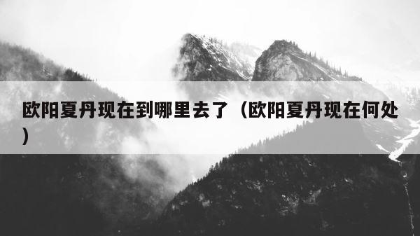 欧阳夏丹现在到哪里去了（欧阳夏丹现在何处） 第1张