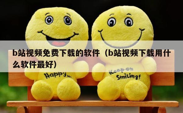 b站视频免费下载的软件（b站视频下载用什么软件最好） 第1张