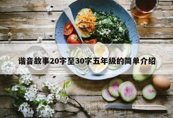 谐音故事20字至30字五年级的简单介绍 第1张