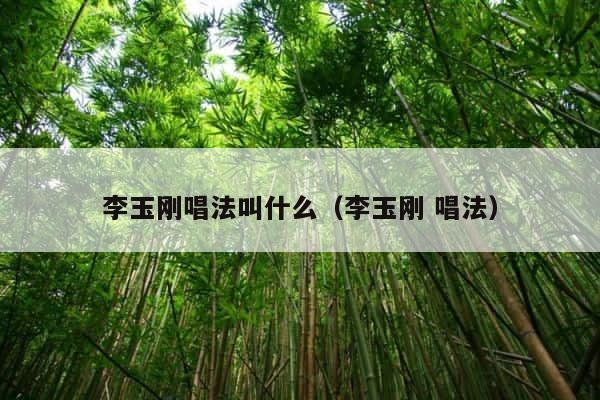 李玉刚唱法叫什么（李玉刚 唱法） 第1张