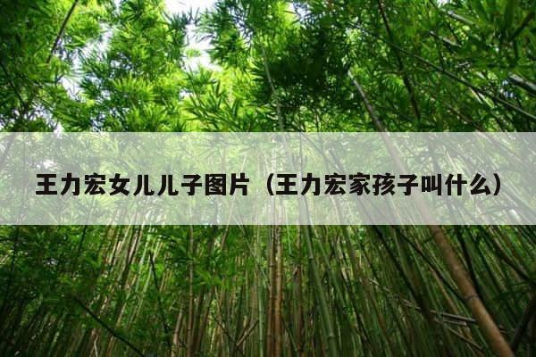 王力宏女儿儿子图片（王力宏家孩子叫什么） 第1张