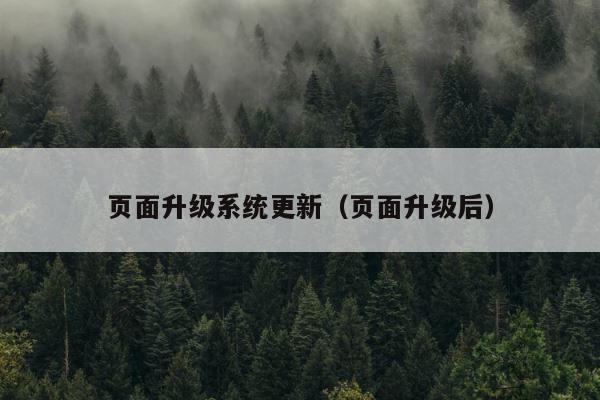 页面升级系统更新（页面升级后） 第1张