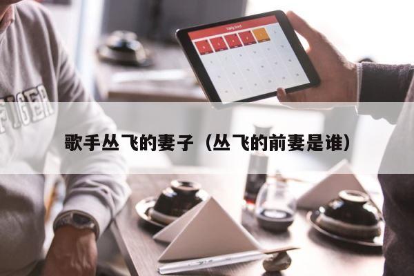 歌手丛飞的妻子（丛飞的前妻是谁） 第1张