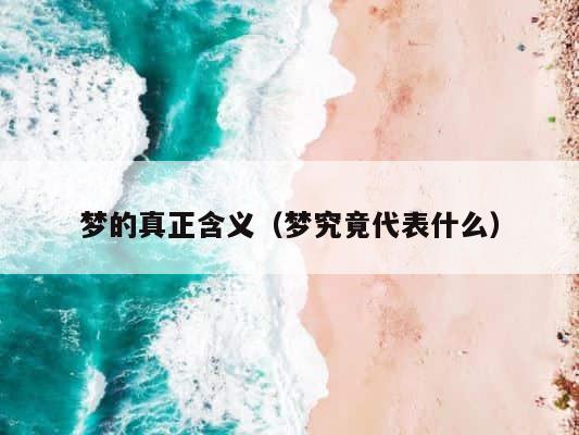 梦的真正含义（梦究竟代表什么） 第1张
