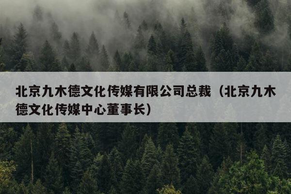 北京九木德文化传媒有限公司总裁（北京九木德文化传媒中心董事长） 第1张