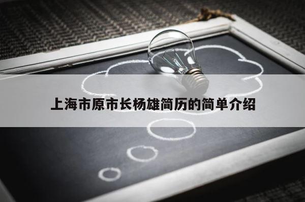 上海市原市长杨雄简历的简单介绍 第1张