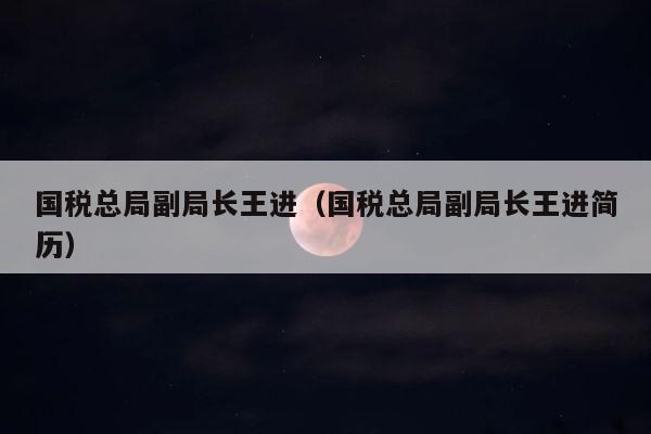 国税总局副局长王进（国税总局副局长王进简历） 第1张