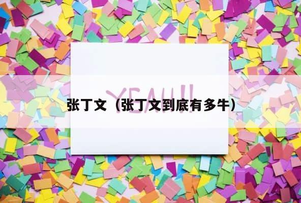 张丁文（张丁文到底有多牛） 第1张
