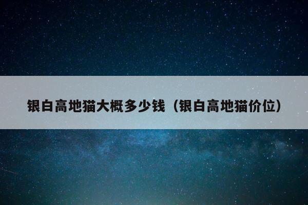 银白高地猫大概多少钱（银白高地猫价位） 第1张