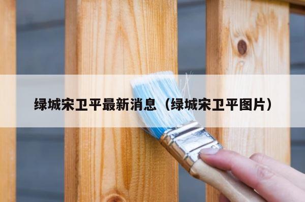 绿城宋卫平最新消息（绿城宋卫平图片） 第1张