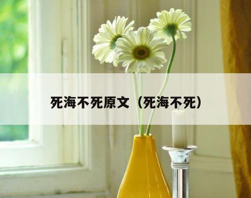 死海不死原文（死海不死） 第1张