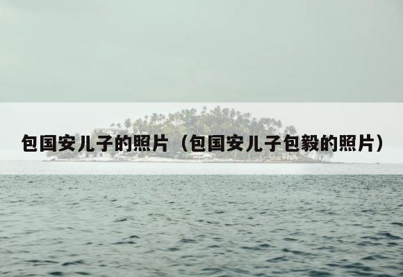 包国安儿子的照片（包国安儿子包毅的照片） 第1张