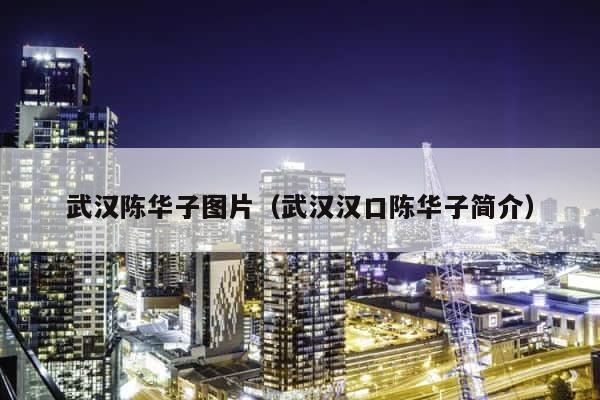 武汉陈华子图片（武汉汉口陈华子简介） 第1张