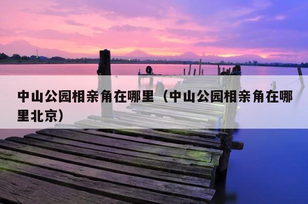 中山公园相亲角在哪里（中山公园相亲角在哪里北京） 第1张