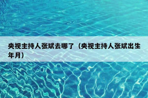 央视主持人张斌去哪了（央视主持人张斌出生年月） 第1张