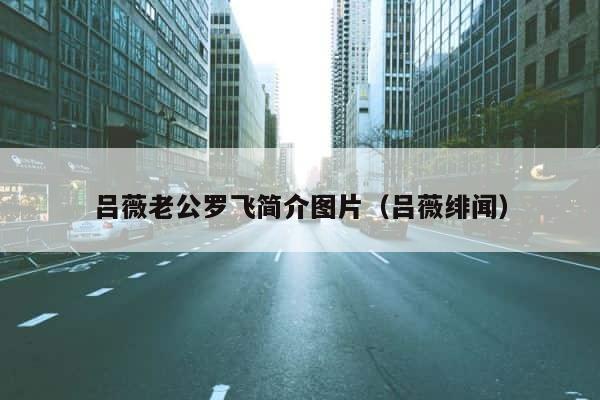 吕薇老公罗飞简介图片（吕薇绯闻） 第1张