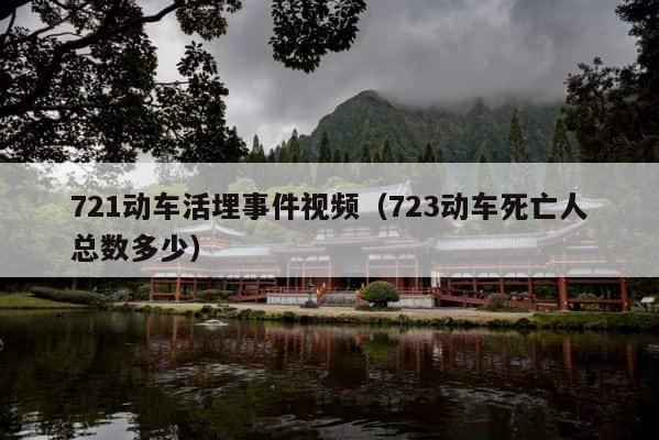 721动车活埋事件视频（723动车死亡人总数多少） 第1张