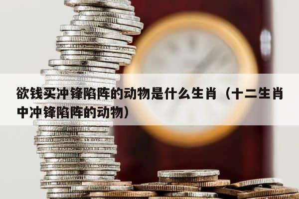 欲钱买冲锋陷阵的动物是什么生肖（十二生肖中冲锋陷阵的动物） 第1张