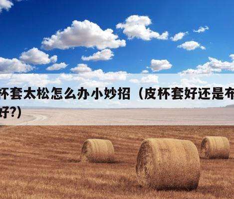 皮杯套太松怎么办小妙招（皮杯套好还是布杯套好?） 第1张