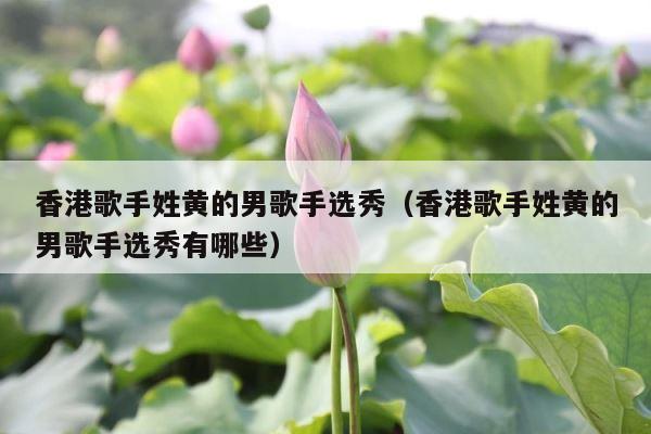 香港歌手姓黄的男歌手选秀（香港歌手姓黄的男歌手选秀有哪些） 第1张