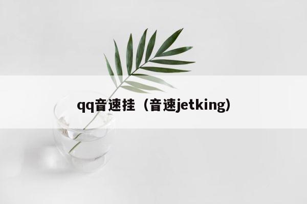 qq音速挂（音速jetking） 第1张