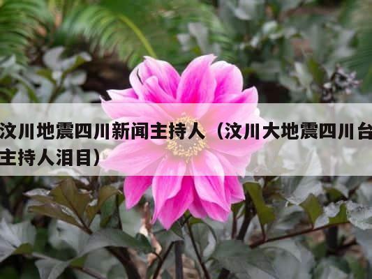 汶川地震四川新闻主持人（汶川大地震四川台主持人泪目） 第1张