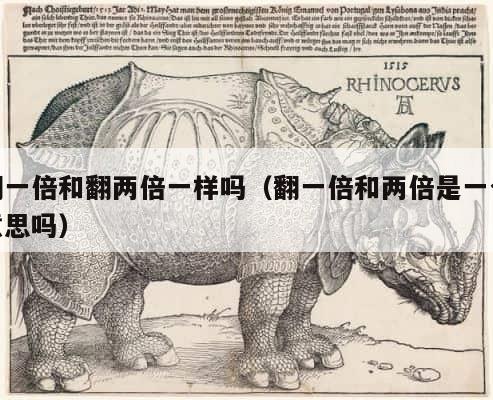 翻一倍和翻两倍一样吗（翻一倍和两倍是一个意思吗） 第1张
