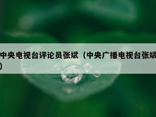 中央电视台评论员张斌（中央广播电视台张斌） 第1张