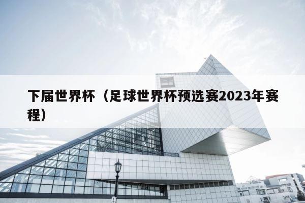 下届世界杯（足球世界杯预选赛2023年赛程） 第1张