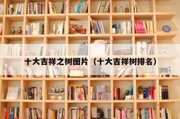 十大吉祥之树图片（十大吉祥树排名） 第1张