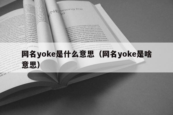 网名yoke是什么意思（网名yoke是啥意思） 第1张