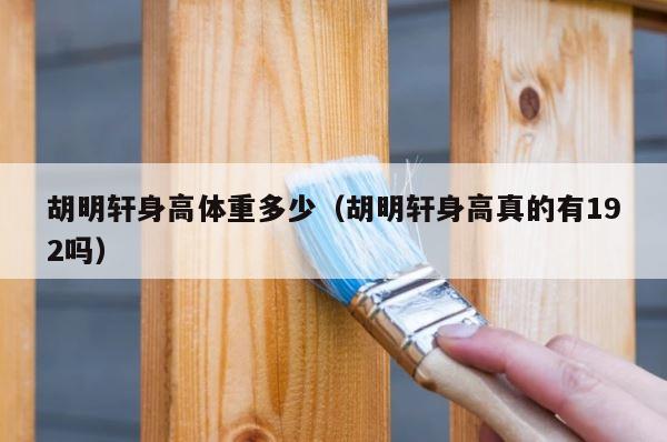 胡明轩身高体重多少（胡明轩身高真的有192吗） 第1张