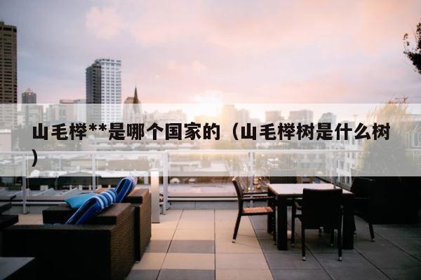 山毛榉**是哪个国家的（山毛榉树是什么树） 第1张