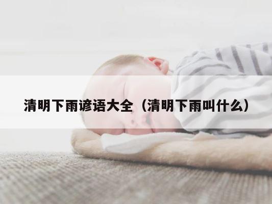 清明下雨谚语大全（清明下雨叫什么） 第1张