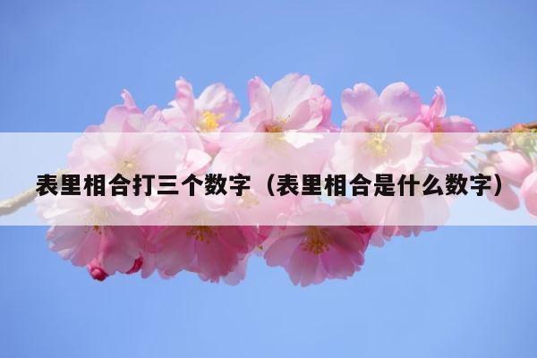 表里相合打三个数字（表里相合是什么数字） 第1张