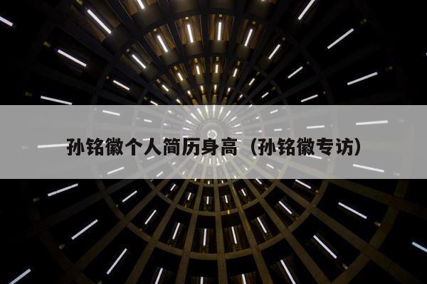 孙铭徽个人简历身高（孙铭徽专访） 第1张