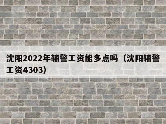 沈阳2022年辅警工资能多点吗（沈阳辅警工资4303） 第1张